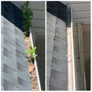 Gutter Cleaning