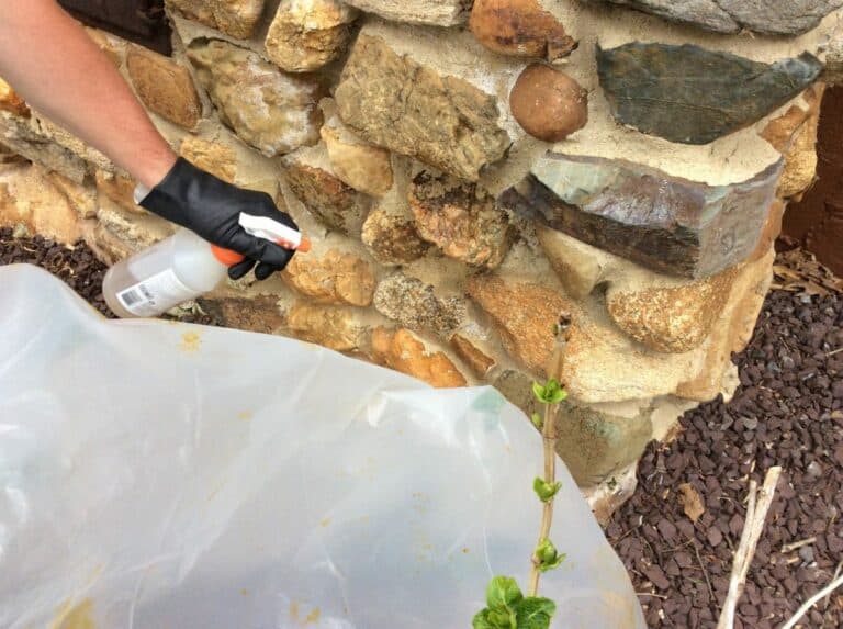efflorescence removal