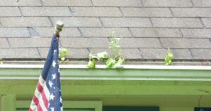 Gutters
