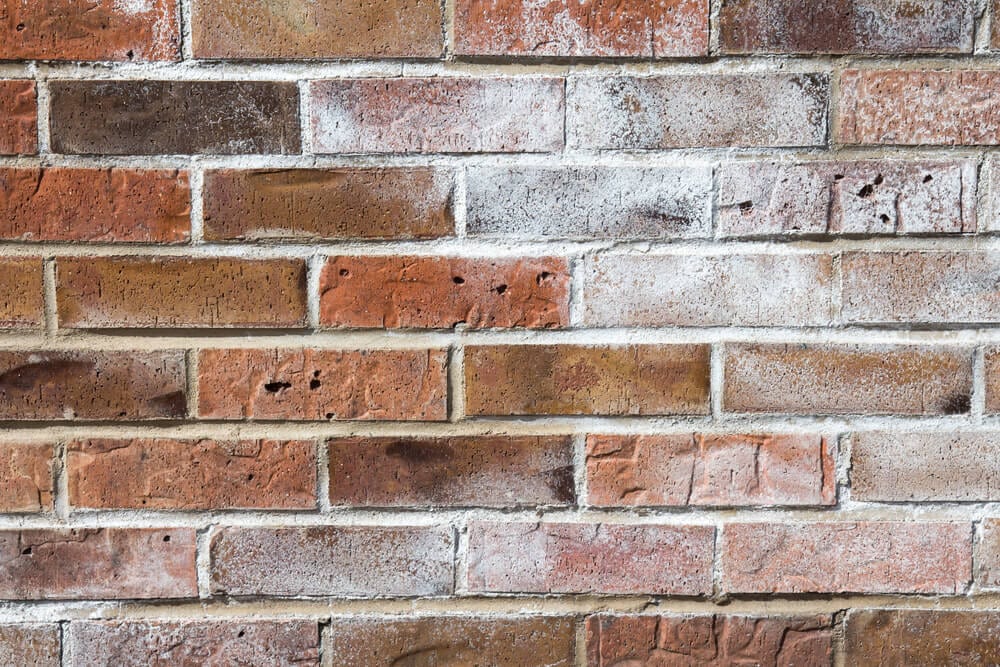 efflorescence removal services