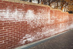 efflorescence removal services