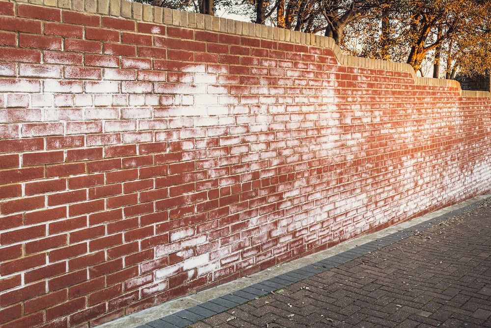 efflorescence removal services