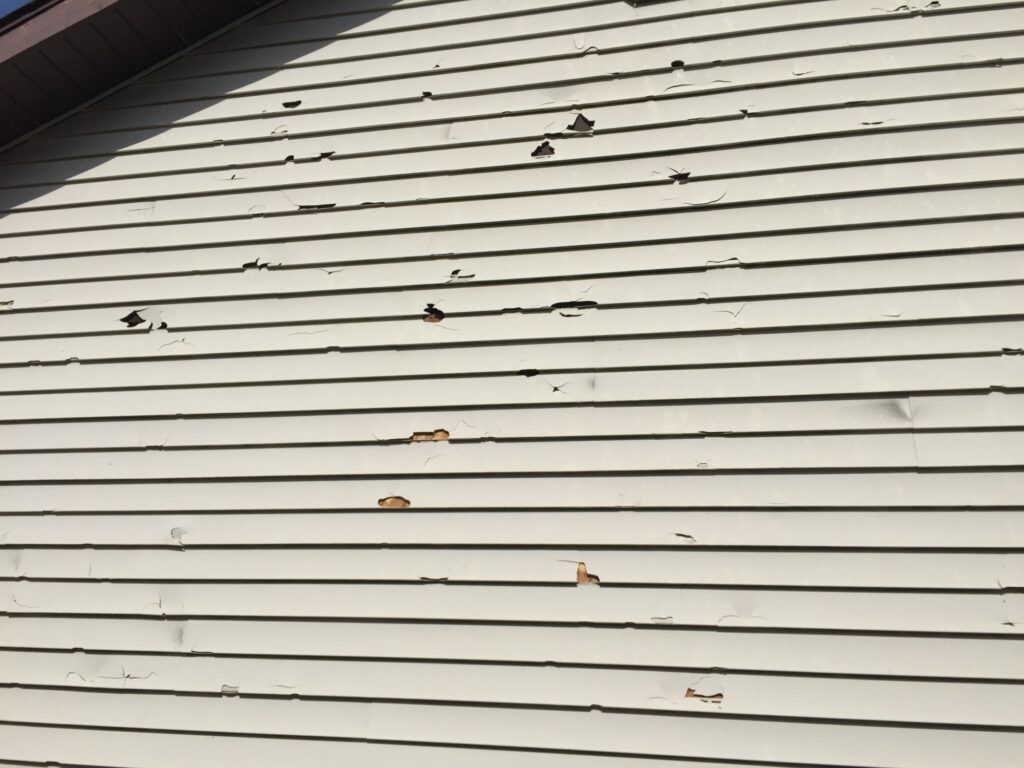 Your Home's Exterior