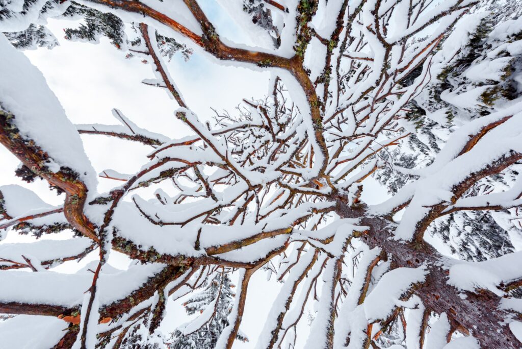 prepare your home for winter