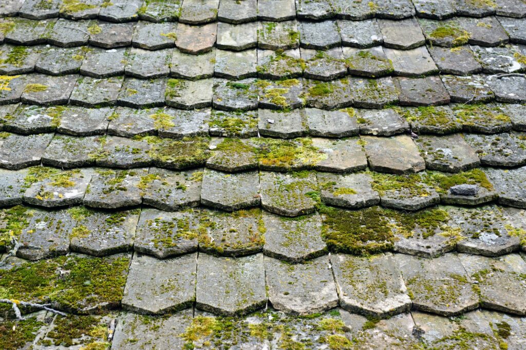 professional pressure washing services