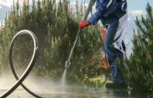 professional power washing service