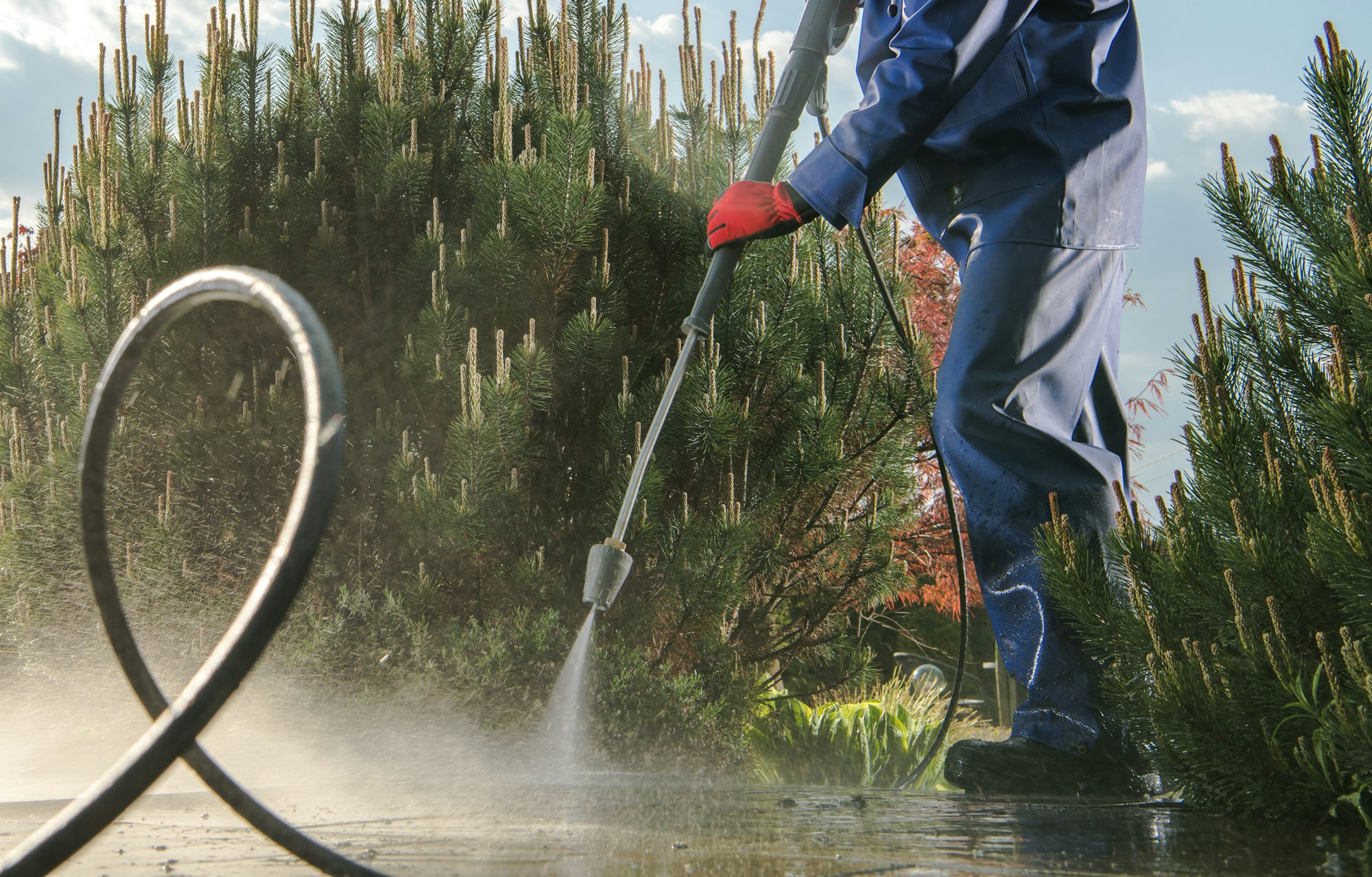 professional power washing service