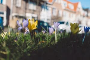 spring pressure washing
